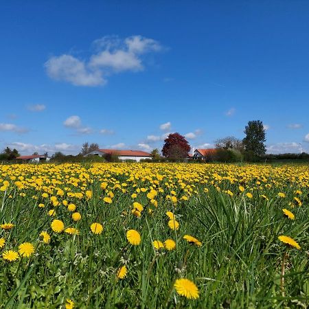 Ildhu Inn Kvaerndrup ภายนอก รูปภาพ
