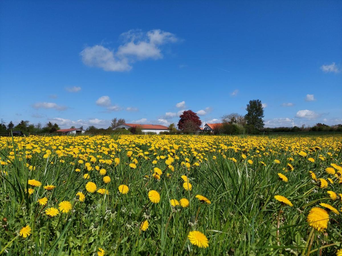 Ildhu Inn Kvaerndrup ภายนอก รูปภาพ